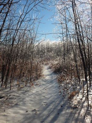DSCF1108.JPG