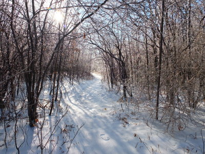 DSCF1115.JPG