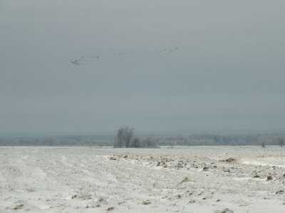DSCF1182.JPG