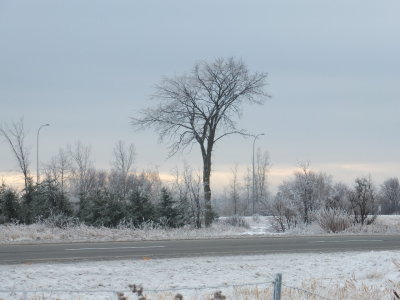DSCF1219.JPG