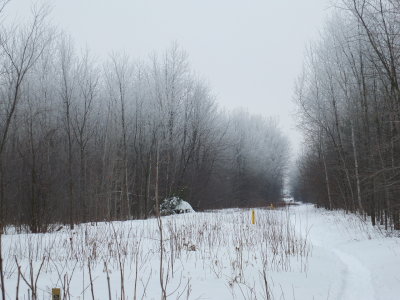 DSCF1327.JPG