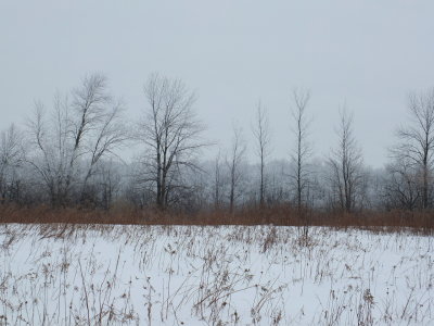 DSCF1332.JPG