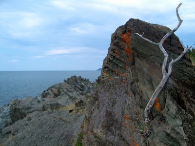 HPIM0987.JPG