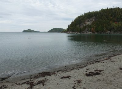 DSCF4001.JPG