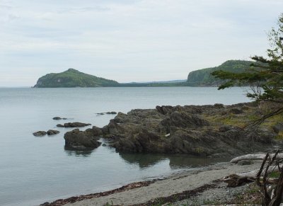 DSCF4003.JPG