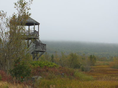 DSCF4064.JPG