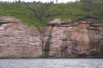 IMGP0673.JPG