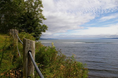 IMGP0853.JPG