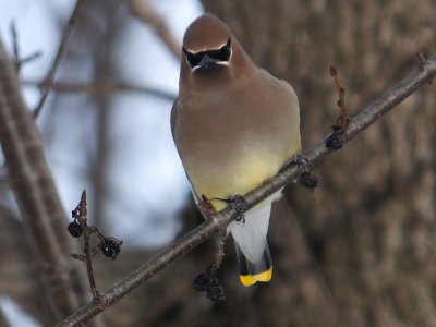 DSCF5772.JPG