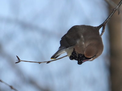 DSCF5783.JPG