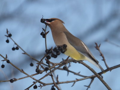 DSCF5789.JPG