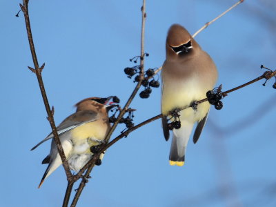 DSCF5793.JPG