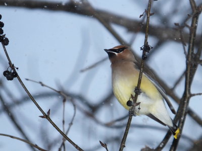 DSCF5760.JPG