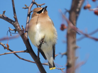 DSCF5820.JPG