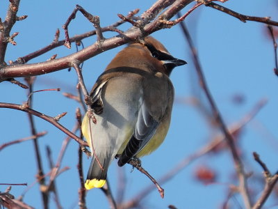 DSCF5950.JPG