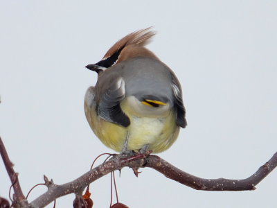 DSCF5971.JPG