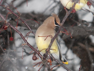 DSCF5982.JPG