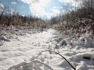 DSCF7517.JPG
