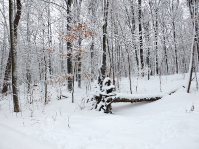 DSCF7730.JPG