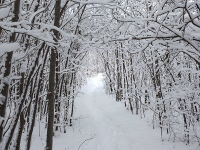 DSCF7779.JPG