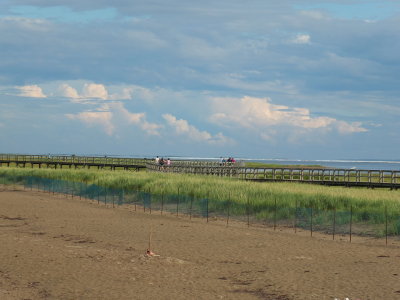 DSCF3467.JPG