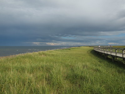DSCF3479.JPG