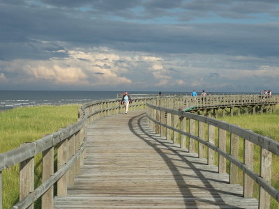 DSCF3485.JPG