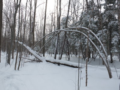 DSCF8187.JPG