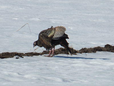 DSCF8369.JPG