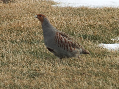 DSCF8481.JPG