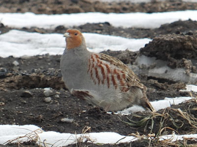 DSCF8490.JPG