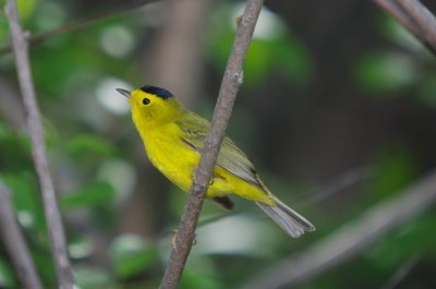 IMGP5630.JPG
