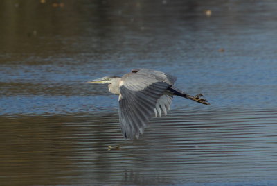 IMGP3375.JPG