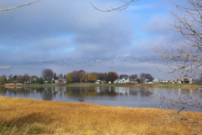 g9/04/1101204/3/161776295.UJARVoIk.jpg