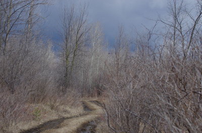 g9/04/1101204/3/163082851.AHHASNKA.jpg