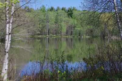 g9/04/1101204/3/163274672.w7TaiFjc.jpg