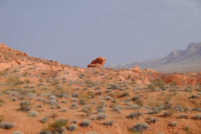 DSCF8586.JPG