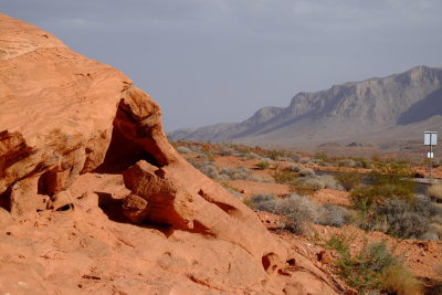 DSCF8594.JPG