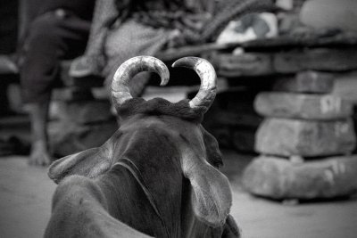 Next to the Ganges