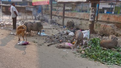 Varanasi Streets
