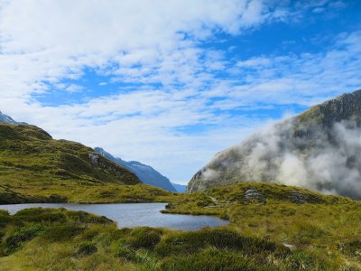 Fiordland