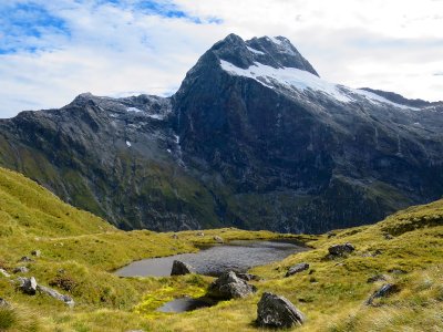 Fiordland