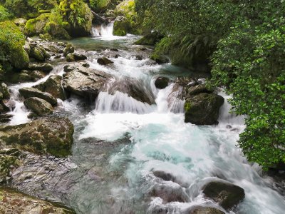 Fiordland