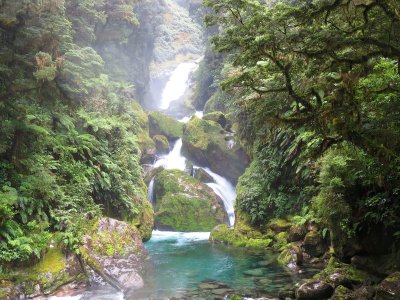 Fiordland