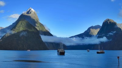 Fiordland