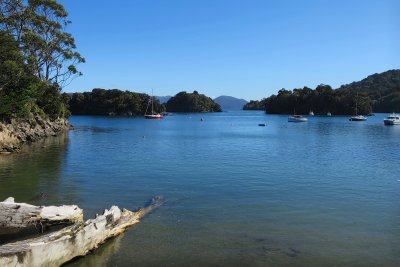 Stewart Island