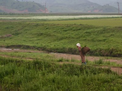 Rural DPRK