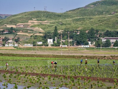 Rural DPRK 