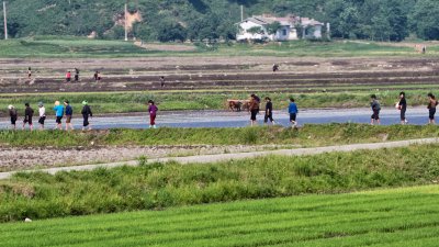 Rural DPRK 