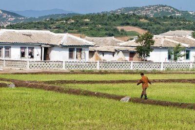 Rural housing in rural area of DPRK